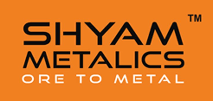 Shyam Sel & Power Ltd.